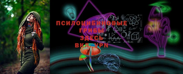COCAINE Богданович