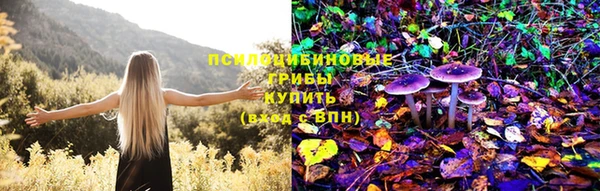 стаф Богородицк