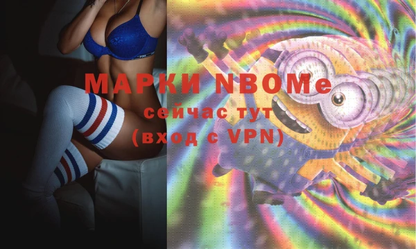 стаф Богородицк