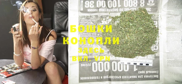 стаф Богородицк