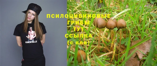 стаф Богородицк