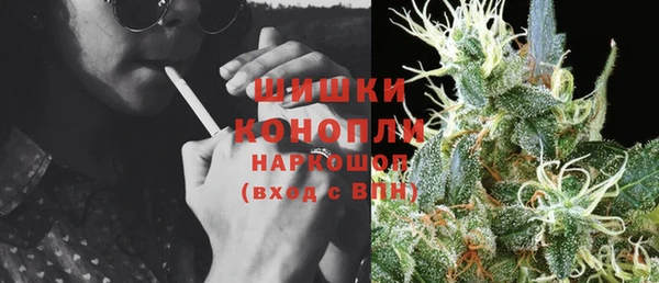 сатива Богородск