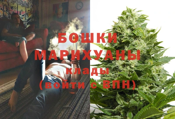 стаф Богородицк
