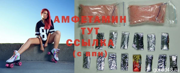 стаф Богородицк