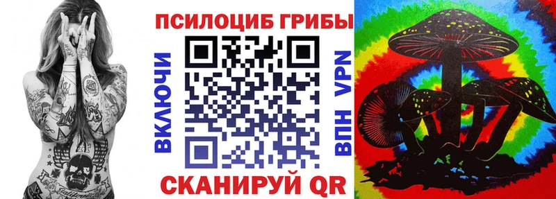 как найти   Пионерский  МЕГА рабочий сайт  Псилоцибиновые грибы прущие грибы 